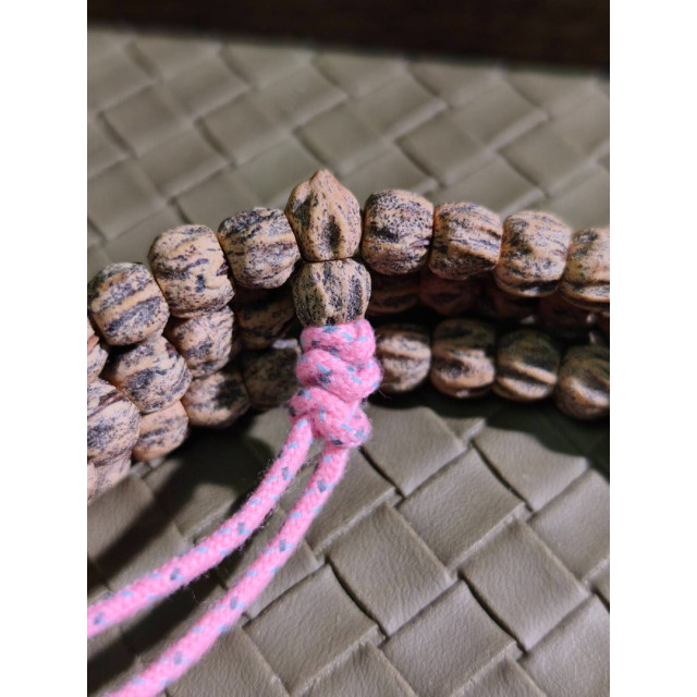 時予鎏藏 超帥 不化骨 ° 熱振超深坑骨脊明顯 紅芽果凍皮 超頭。屏東市現貨 百香籽 頂貨 台灣現貨 劉宇寧 原生態