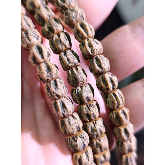 時予鎏藏 超帥 不化骨 ° 熱振超深坑骨脊明顯 紅芽果凍皮 超頭。屏東市現貨 百香籽 頂貨 台灣現貨 劉宇寧 原生態