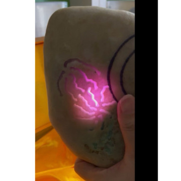 眼緣坊 天然 緬甸 翡翠 原石 三鐲位 雙彩 夫妻色 桃花春 3.14kg 遠燈對穿 色辣 聲音清脆 屏東現貨換現金出